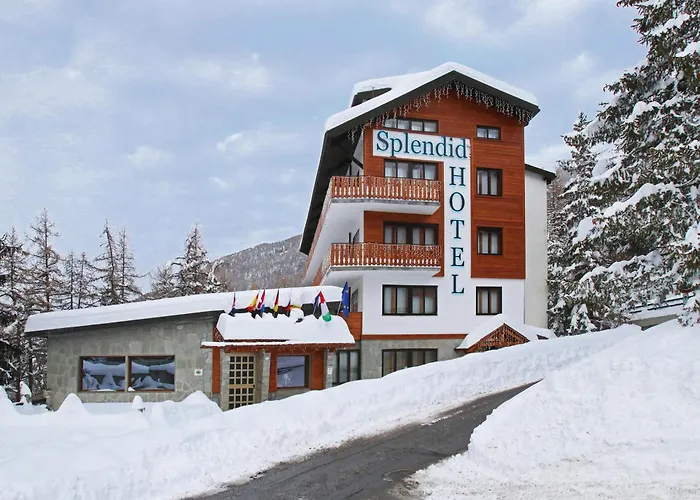 Splendid Hotel 3*